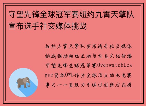 守望先锋全球冠军赛纽约九霄天擎队宣布选手社交媒体挑战