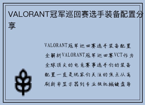 VALORANT冠军巡回赛选手装备配置分享